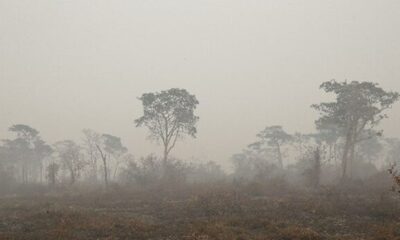 pantanal_queimadas-9098882