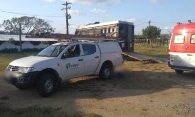 limoeiro_celpe-6526372